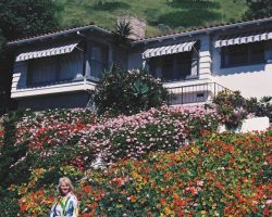 Set of three windows on a house in the CA hills with blue striped window awnings